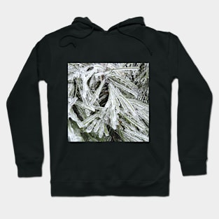 Frozen Pine Needles- Freezing Rain in the Spring Hoodie